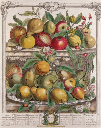 Abril, de &39;Doze Meses de Frutos&39;, de Robert Furber (c.1674-1756) gravado por J. Clark, 1732 de Pieter Casteels
